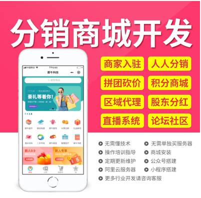 分銷軟件開發.jpg