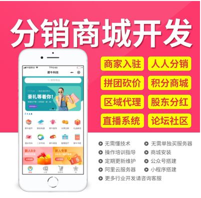 分銷軟件開發.jpg